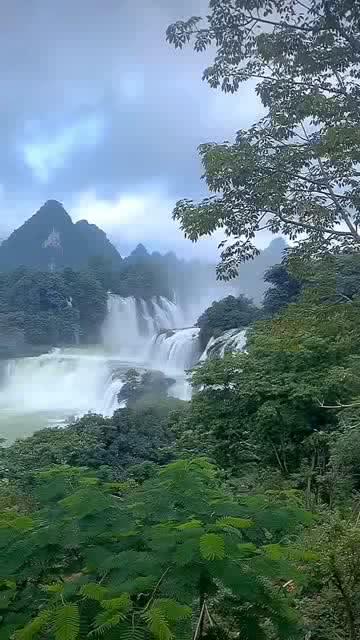 银河中动物逃生