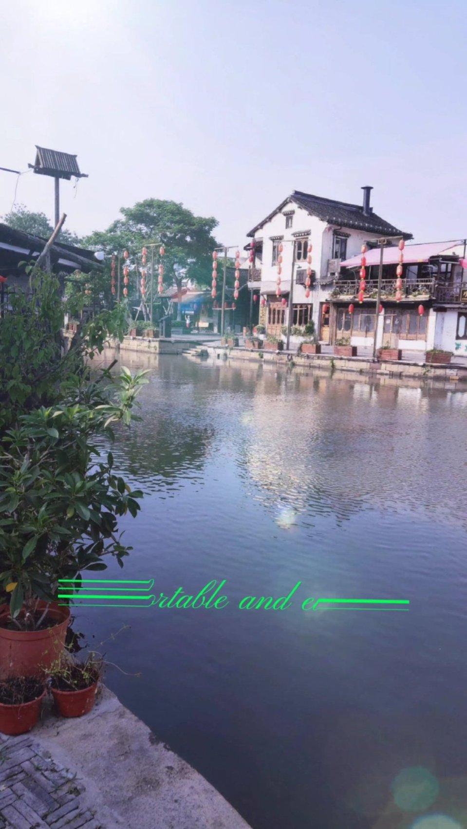 我在网上和一个人聊天我告诉他我15岁，高二，他告诉我他16岁，大二了，我居然突然觉得自己有点笨？游戏画面