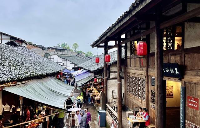 拯救精灵的土地5